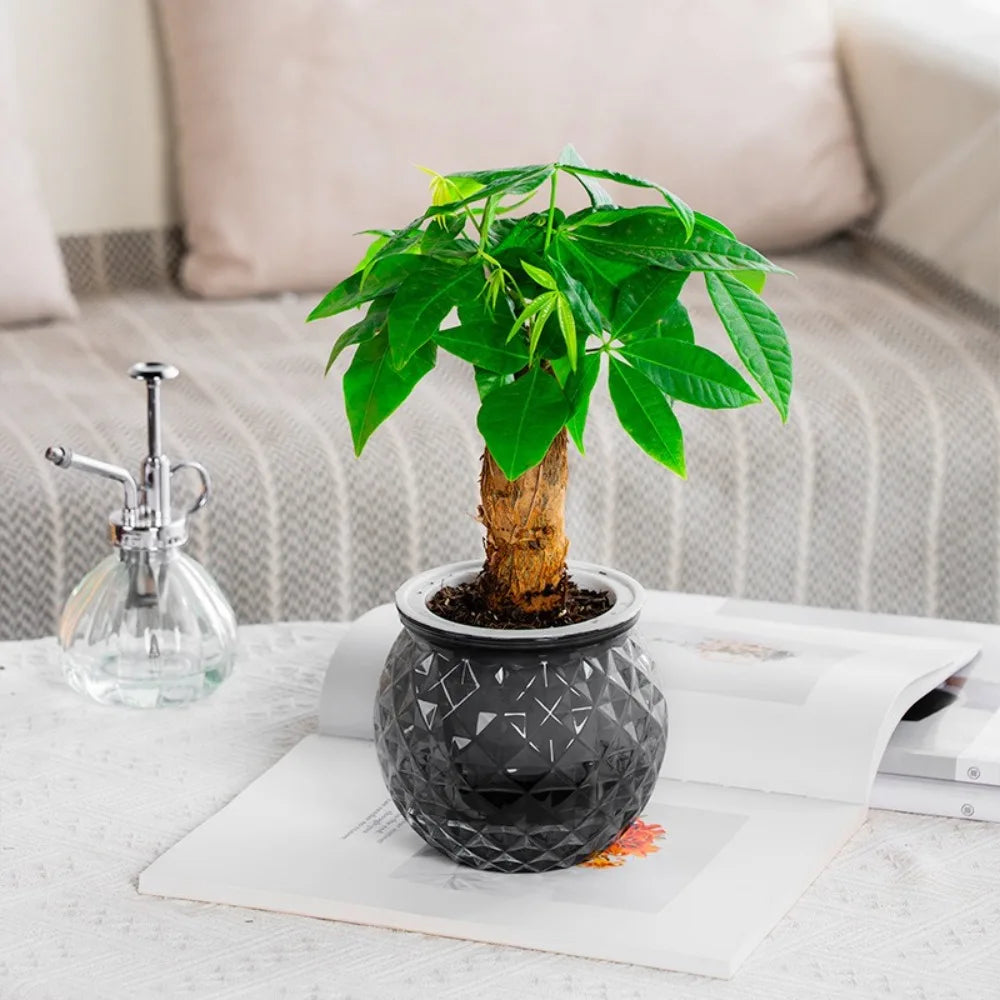 New Self Watering Hydroponic Plants Pot Plastic Removable Mini Succulent Planter Tabletop Vase Flowerpot