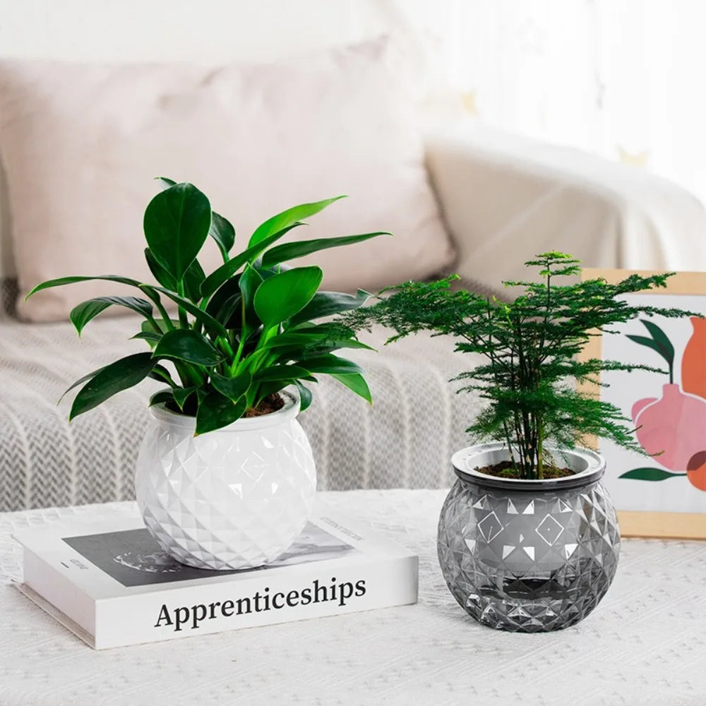 New Self Watering Hydroponic Plants Pot Plastic Removable Mini Succulent Planter Tabletop Vase Flowerpot