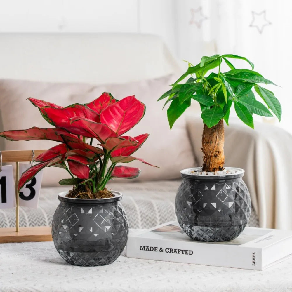 New Self Watering Hydroponic Plants Pot Plastic Removable Mini Succulent Planter Tabletop Vase Flowerpot
